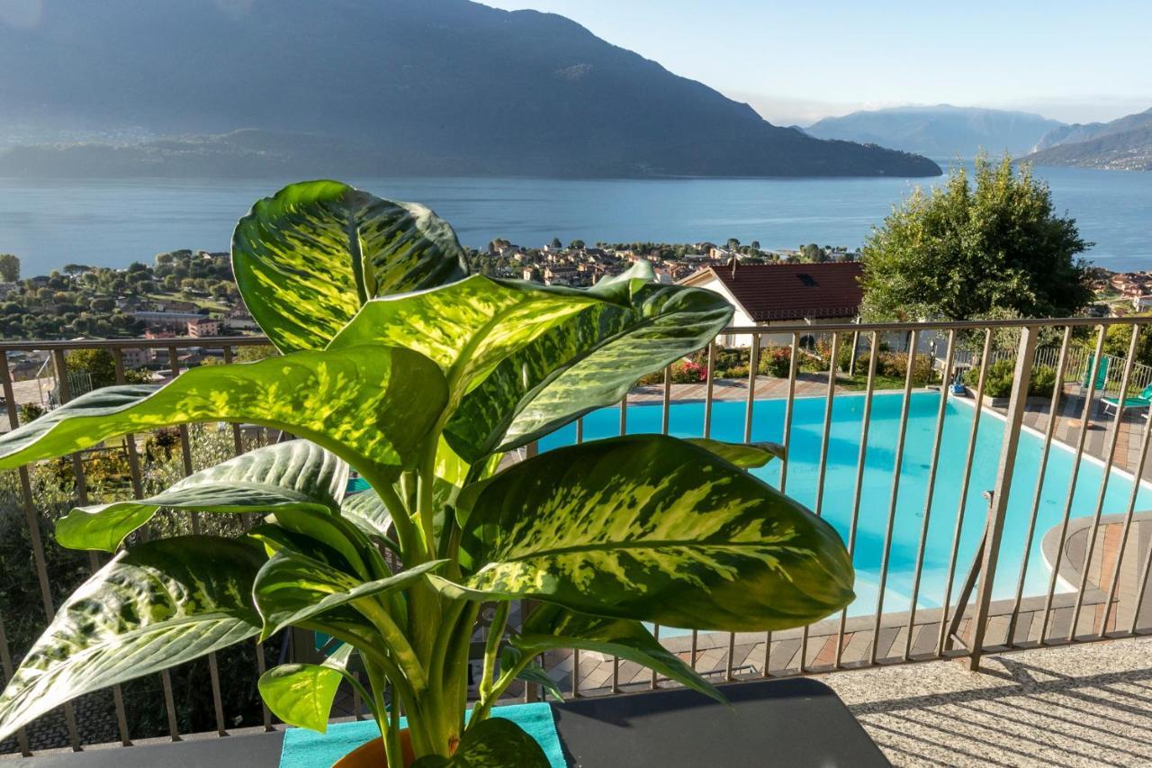 Appartamento La Collina degli Ulivi Vercana Esterno foto